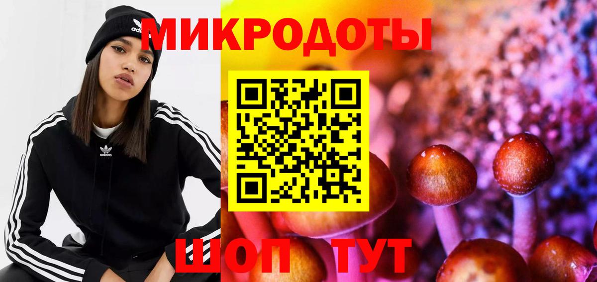 Галлюциногенные грибы Psilocybe Тосно