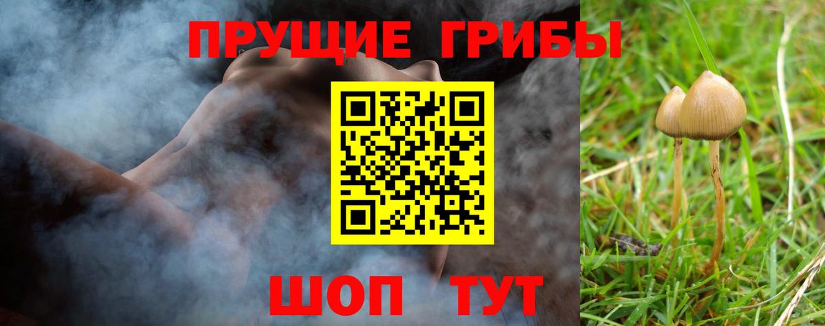 Галлюциногенные грибы GOLDEN TEACHER  Псилоцибиновые грибы мухоморы  Вход с VPN  Тосно 
